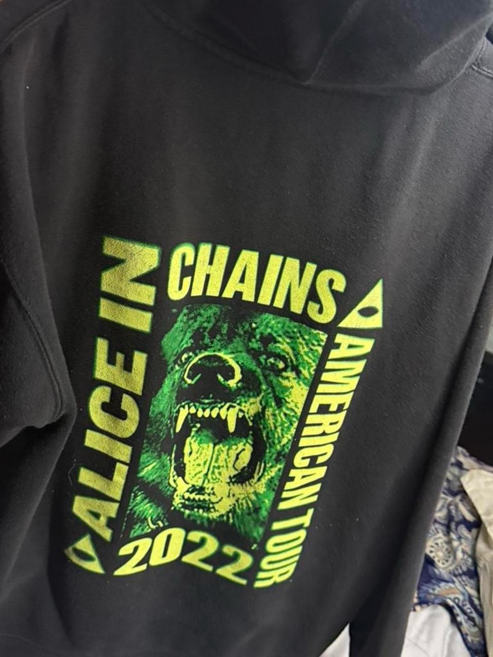 Black Alice In Chains 2022 Tour Graphic Hoodie